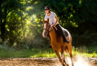 5 conseils pour vous améliorer en équitation
