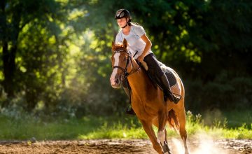 5 conseils pour vous améliorer en équitation
