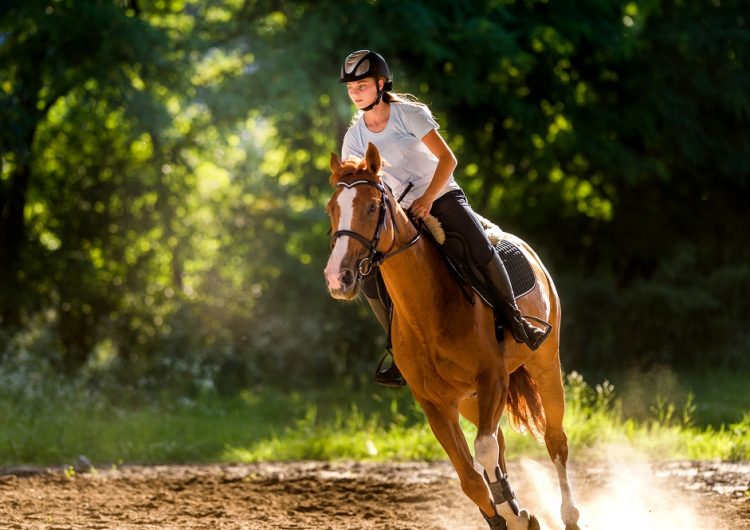 5 conseils pour vous améliorer en équitation
