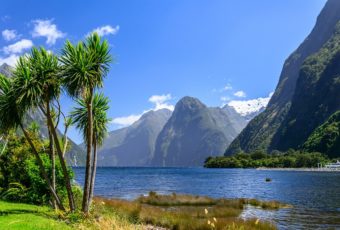 Les 17 choses à savoir sur la Nouvelle-Zélande avant votre séjour