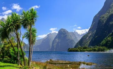 Les 17 choses à savoir sur la Nouvelle-Zélande avant votre séjour