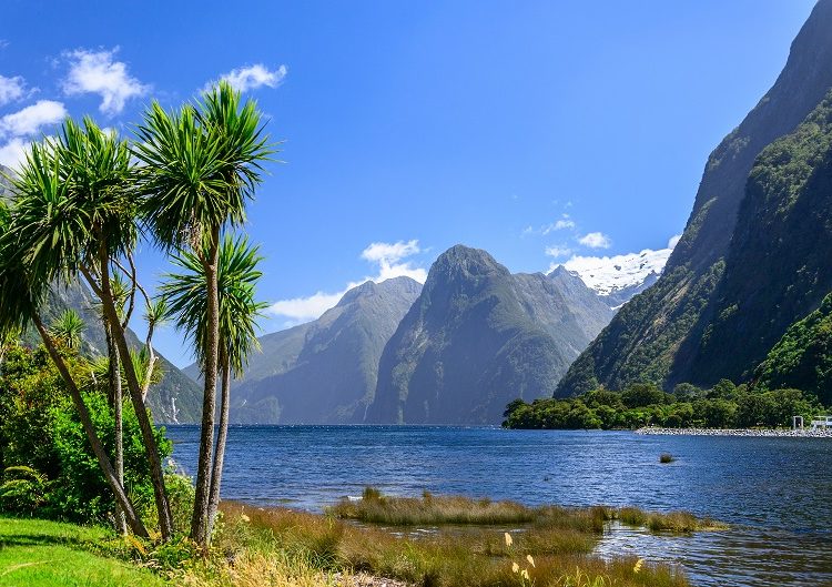 Les 17 choses à savoir sur la Nouvelle-Zélande avant votre séjour