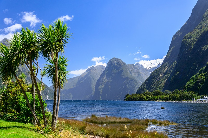 Comment bien préparer son voyage en Nouvelle-Zélande ?